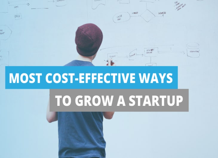 Cost-Effective Software House Solutions for Startups