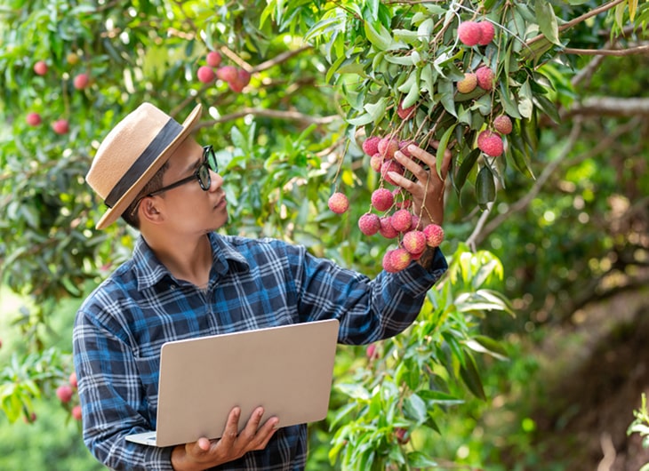 Studi Mengapa Apple Berhasil Membangun Ekosistem yang Loyal?